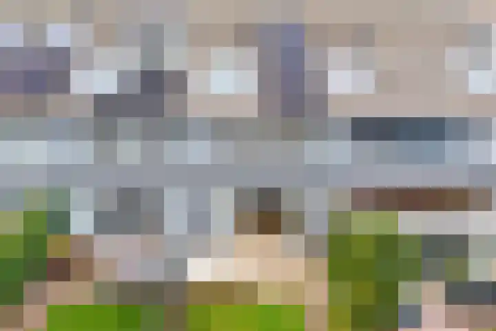 Gaffel 37 Nijkerk thumbnail 30