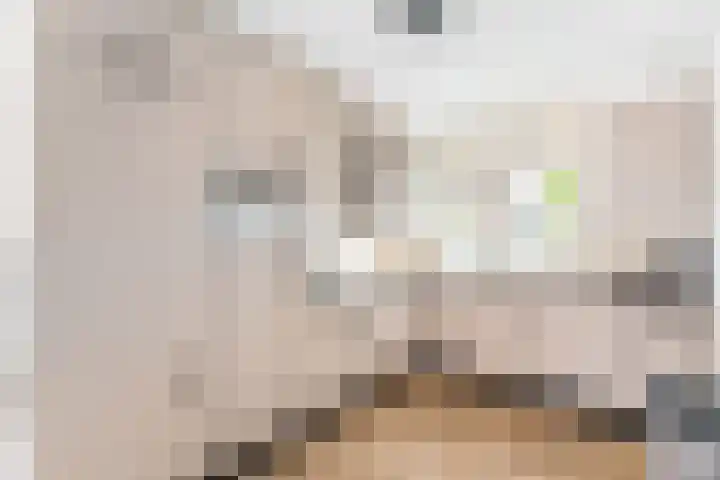 Gaffel 37 Nijkerk thumbnail 5