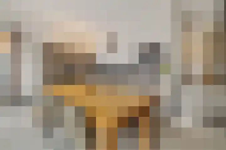 Gaffel 44 Almere thumbnail 7