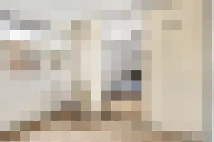 Gaffel 46 Nijkerk thumbnail 21