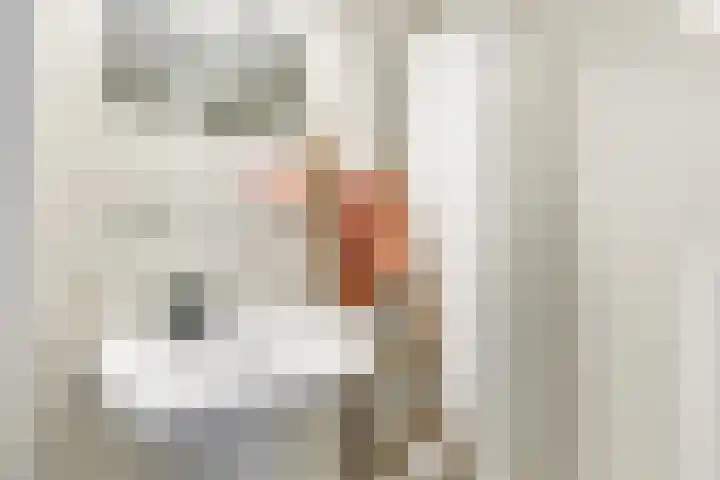 Gaffel 46 Nijkerk thumbnail 22