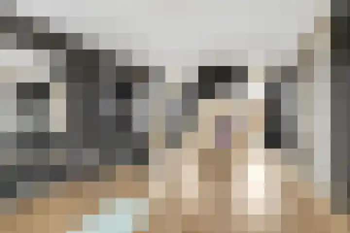 Gaffel 46 Nijkerk thumbnail 26