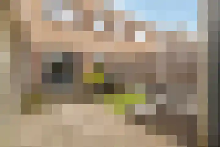 Gaffel 46 Nijkerk thumbnail 32