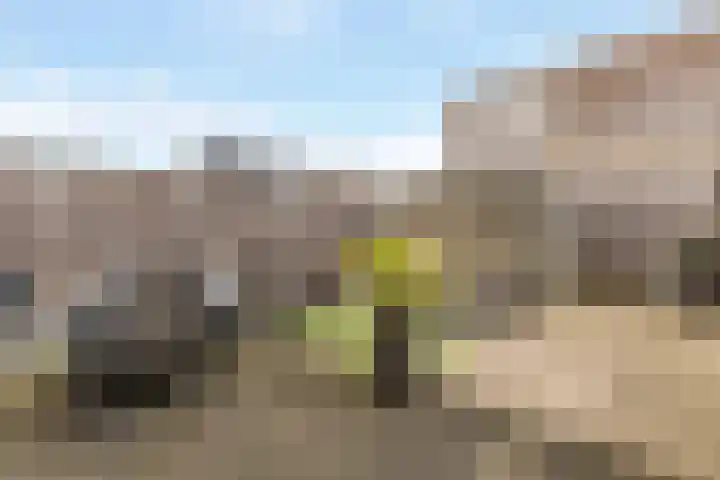 Gaffel 46 Nijkerk thumbnail 4