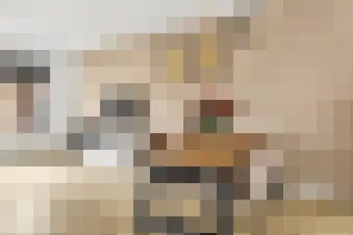 Gaffel 46 Nijkerk thumbnail 8