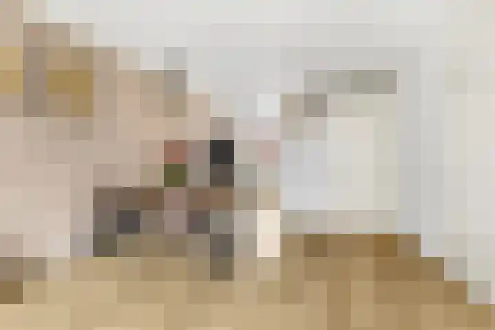 Gaffel 46 Nijkerk thumbnail 9