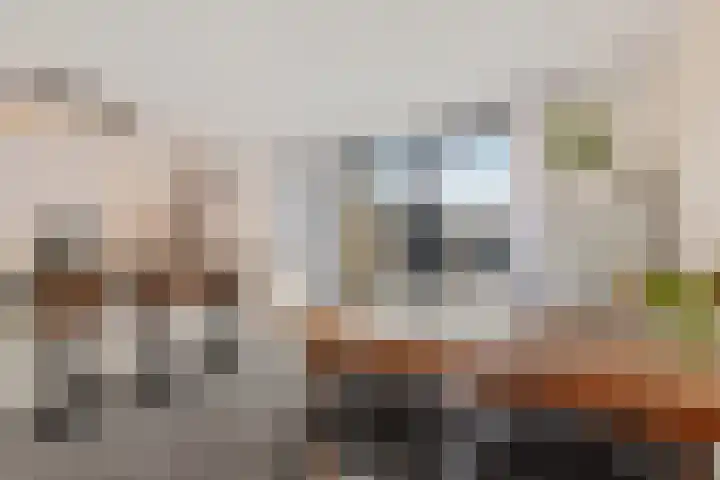 Gaffelaar 15 Lemmer thumbnail 10