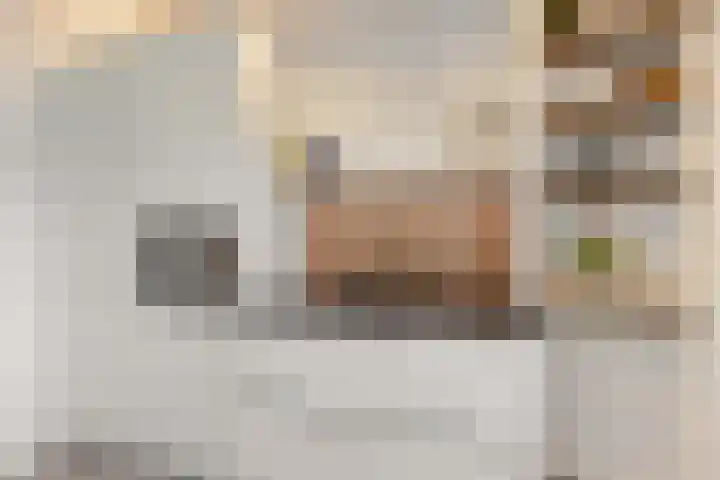 Gaffelaar 15 Lemmer thumbnail 13