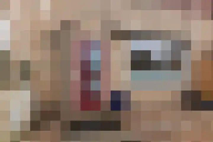 Gaffelaar 15 Lemmer thumbnail 42