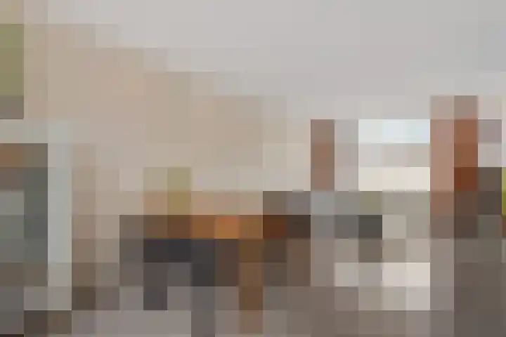 Gaffelaar 15 Lemmer thumbnail 8