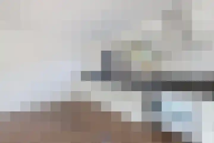 Gaffelaar 3 Franeker thumbnail 18
