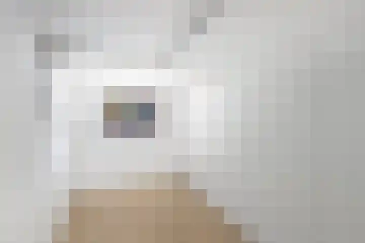 Gaffelaar 3 Franeker thumbnail 23