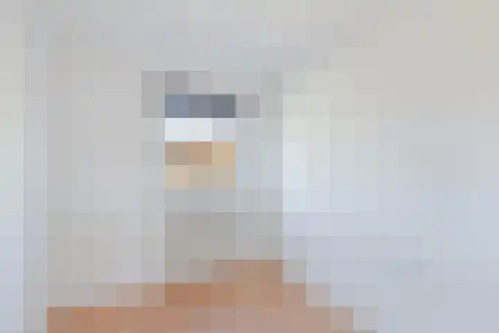 Gaffelaar 3 Franeker thumbnail 27