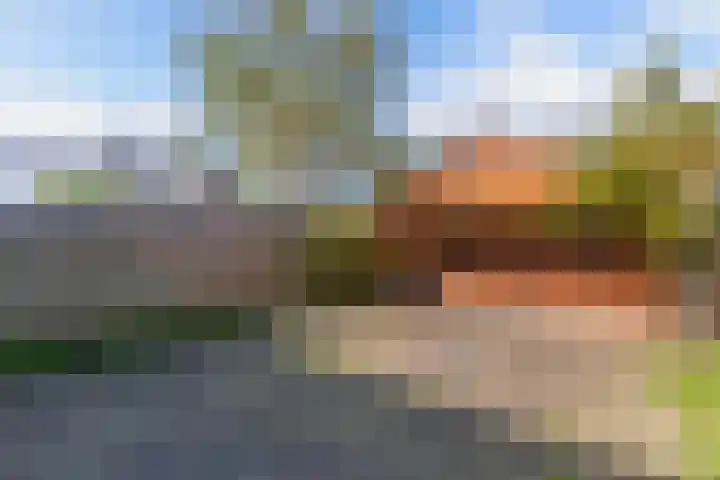 Gaffelaar 3 Franeker thumbnail 35