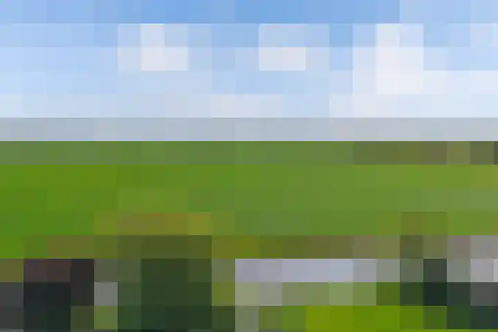 Gaffelaar 3 Franeker thumbnail 44