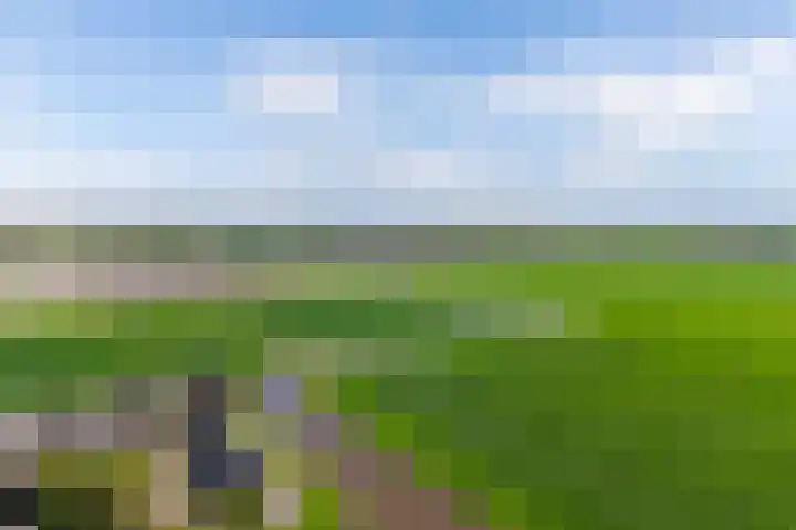 Gaffelaar 3 Franeker thumbnail 45