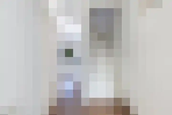 Gaffelaar 3 Franeker thumbnail 9