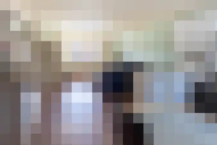 Gaffelaar 7 Franeker thumbnail 13