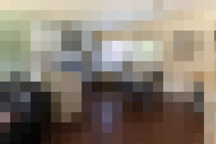 Gaffelaar 7 Franeker thumbnail 14