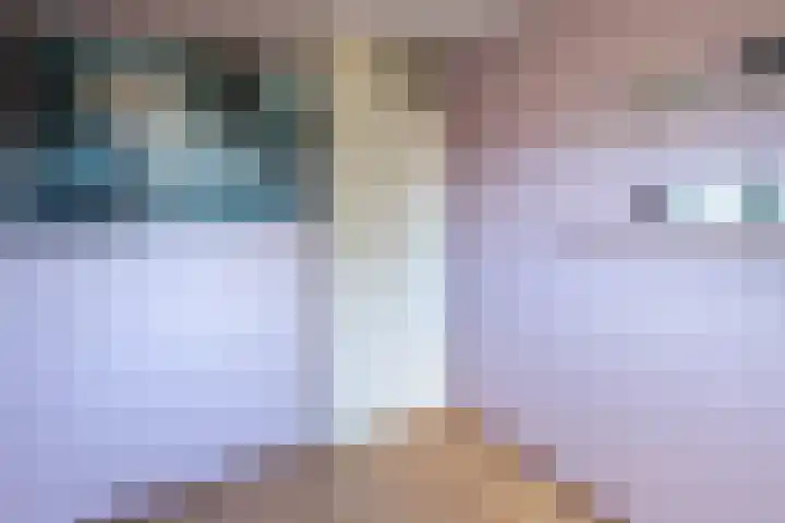 Gaffelaar 7 Franeker thumbnail 19