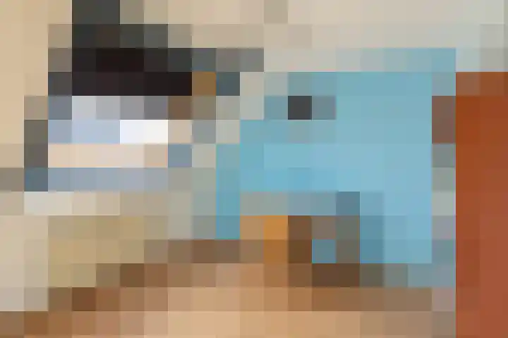 Gaffelaar 7 Franeker thumbnail 24