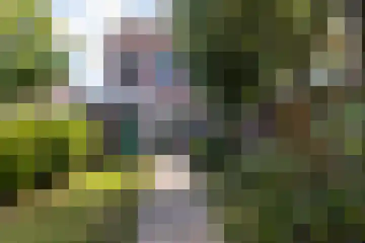 Gaffelaar 7 Franeker thumbnail 32