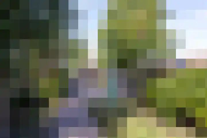 Gaffelaar 7 Franeker thumbnail 36