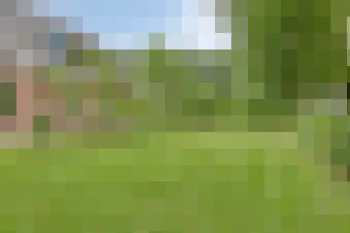 Gageldijk 2 Lochem thumbnail 4