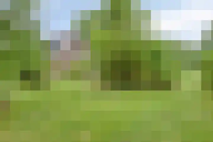 Gageldijk 2 Lochem thumbnail 47