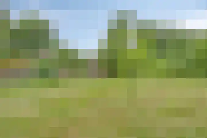 Gageldijk 2 Lochem thumbnail 48