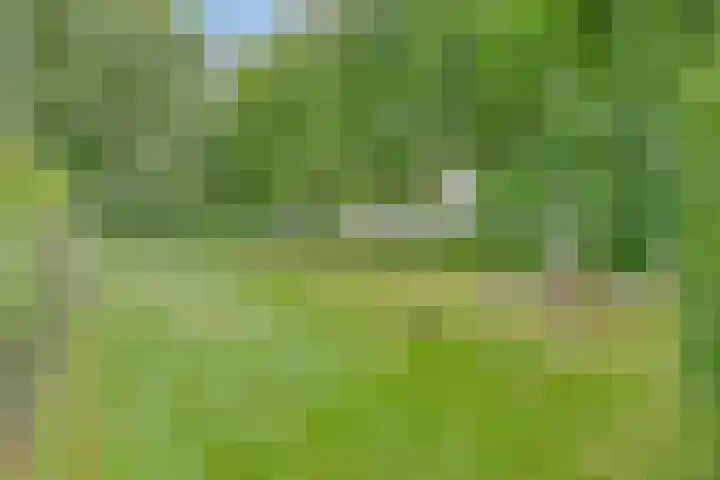 Gageldijk 2 Lochem thumbnail 49