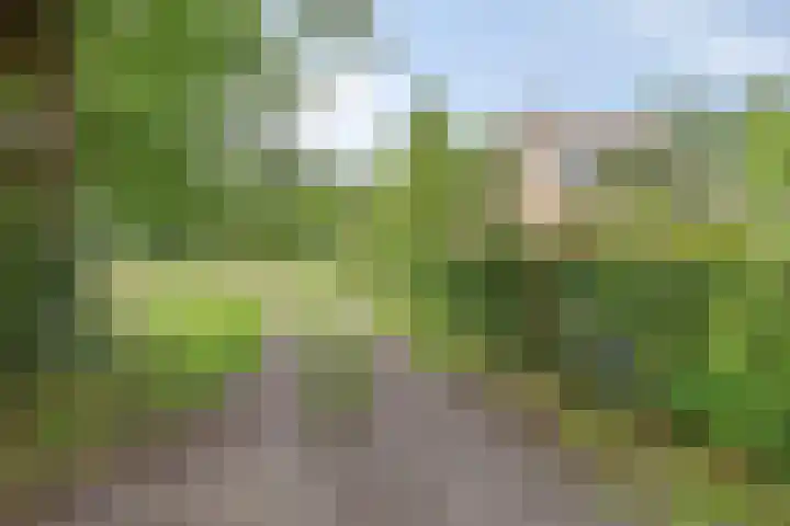 Gageldijk 2 Lochem thumbnail 55