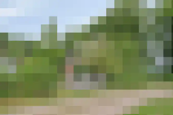 Gageldijk 2 Lochem thumbnail 6