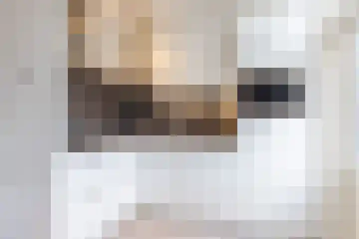 Gagelrijs 81 Rijen thumbnail 10