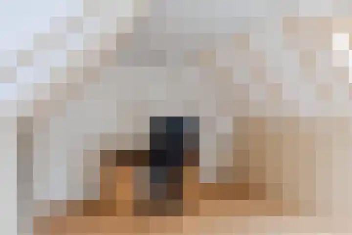 Gagelrijs 81 Rijen thumbnail 24