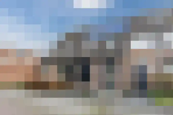 Gagelrijs 81 Rijen thumbnail 28