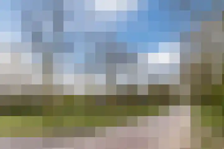 Gagelrijs 81 Rijen thumbnail 30