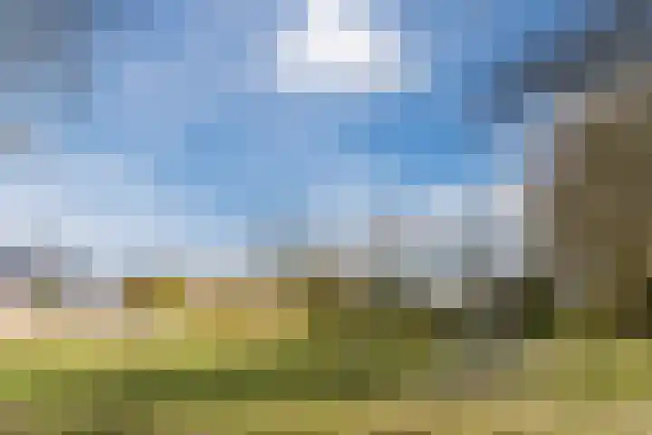 Gagelrijs 81 Rijen thumbnail 31