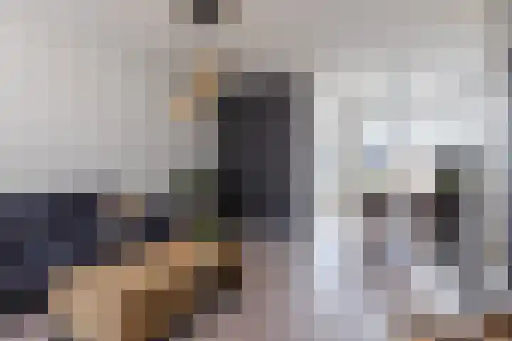 Gagelrijs 81 Rijen thumbnail 7