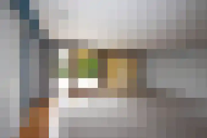 Gagelstraat 2 Borne thumbnail 10
