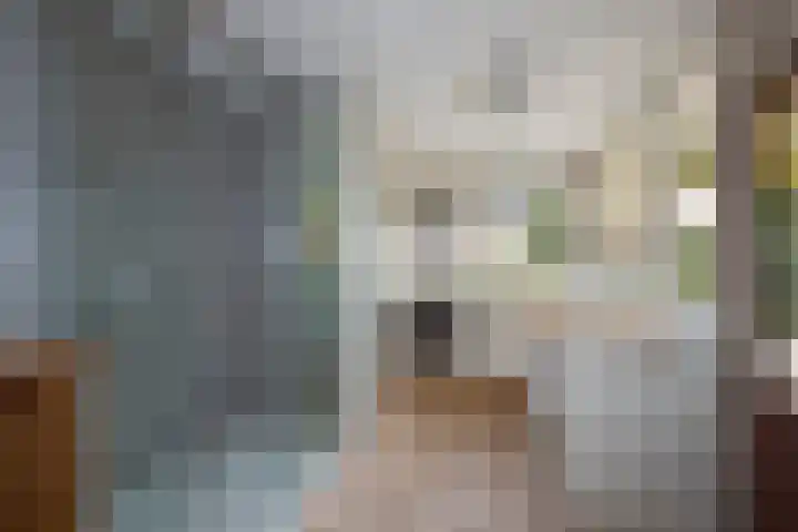 Gagelstraat 2 Borne thumbnail 12