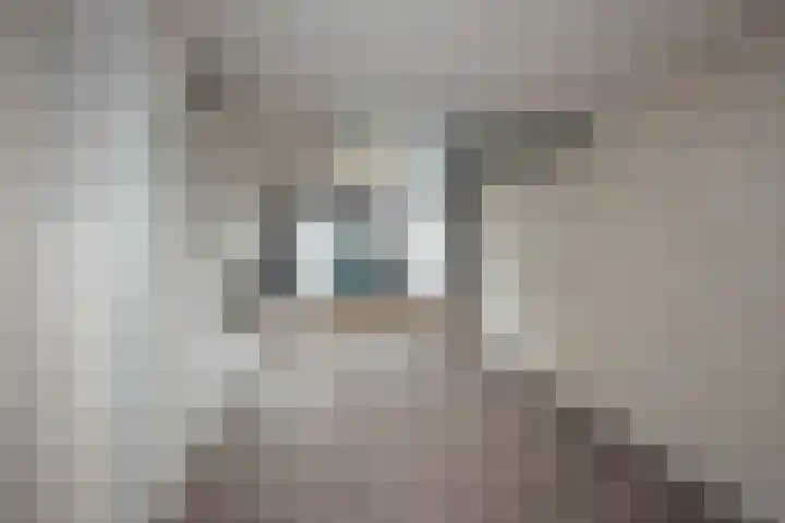 Gagelstraat 2 Borne thumbnail 14