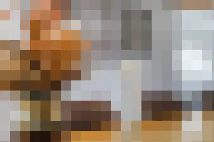 Gagelveld 10 Reusel thumbnail 11