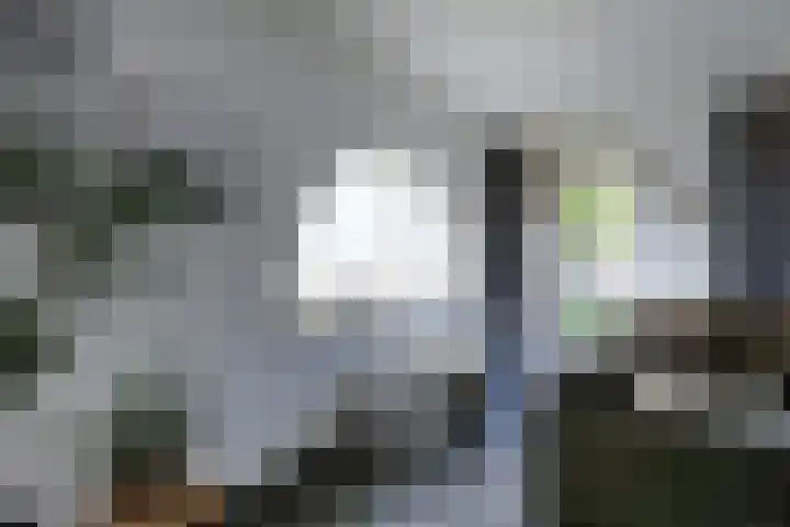 Gagelveld 10 Reusel thumbnail 16