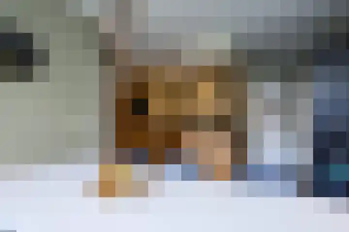 Gagelveld 10 Reusel thumbnail 20