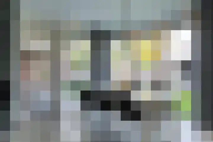 Gagelveld 10 Reusel thumbnail 27