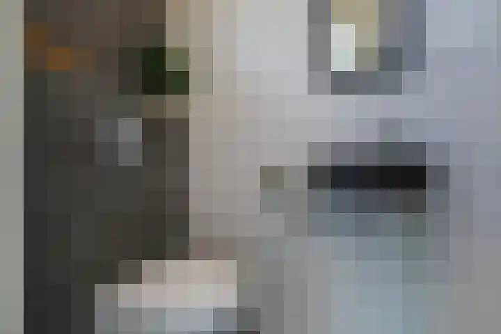 Gagelveld 10 Reusel thumbnail 29