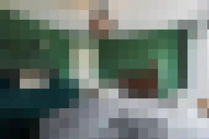 Gagelveld 10 Reusel thumbnail 34