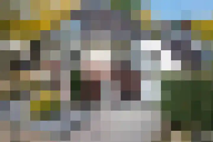 Gagelveld 10 Reusel thumbnail 4