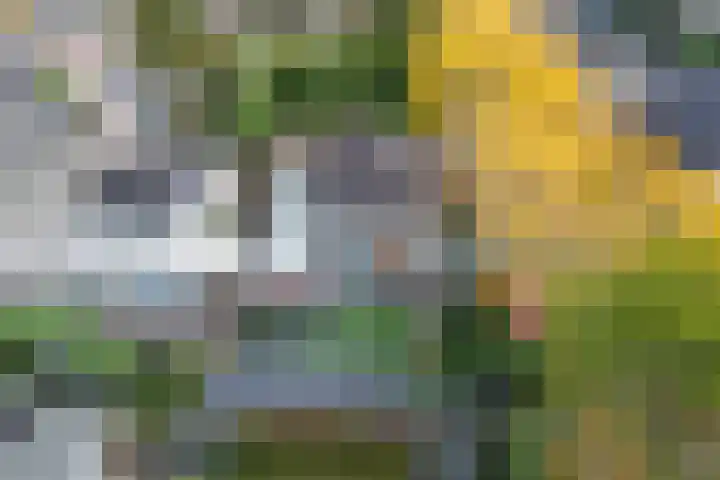 Gagelveld 10 Reusel thumbnail 56